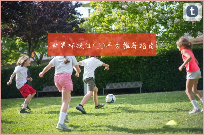 世界杯投注app平台推荐指南