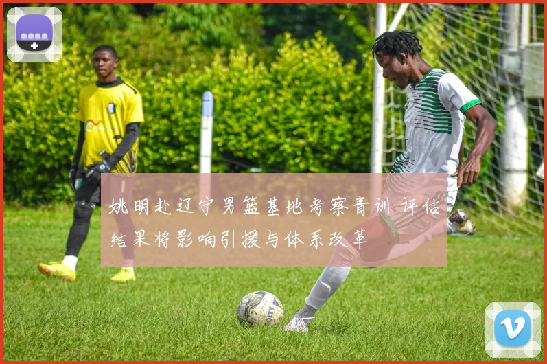 姚明赴辽宁男篮基地考察青训 评估结果将影响引援与体系改革