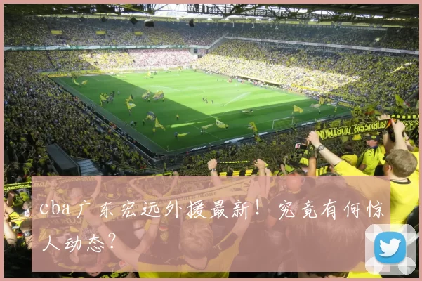 cba广东宏远外援最新！究竟有何惊人动态？
