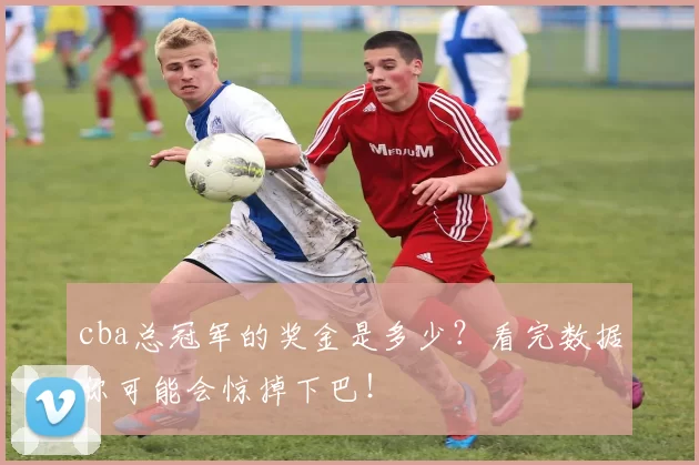cba总冠军的奖金是多少？看完数据你可能会惊掉下巴！